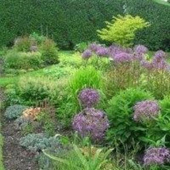 Meet your Posher, Kelly - Picture 1 of 1